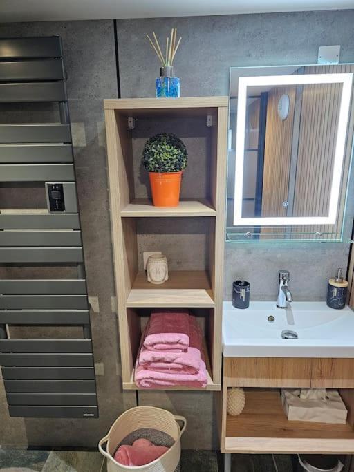 Loft 6 Couchages Apartment Cauterets